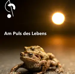 „Am Puls des Lebens“, eine musikalisch-filmische Reise zu intakten und bedrohten Ökosystemen und zur unvergleichlichen Schönheit der Natur