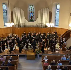 Organ(isch)